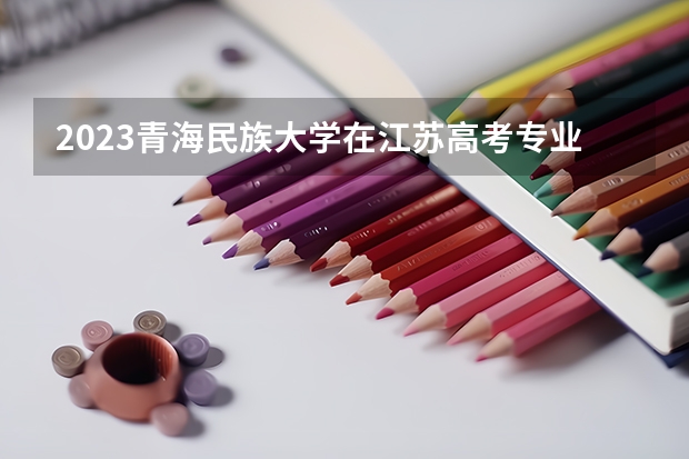 2023青海民族大学在江苏高考专业计划招生多少人