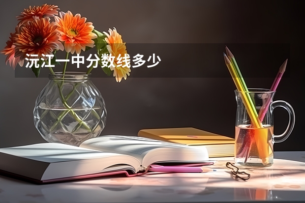沅江一中分数线多少