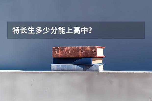 特长生多少分能上高中？