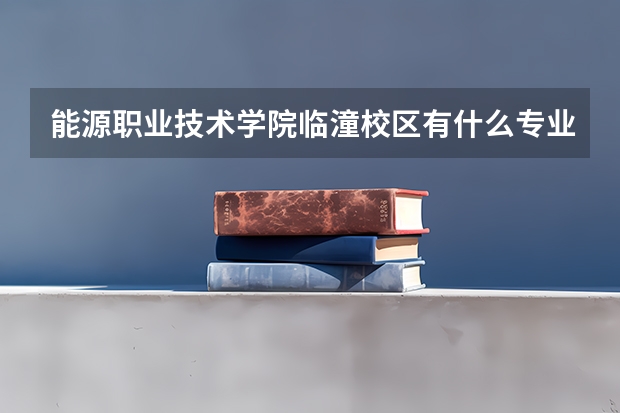 能源职业技术学院临潼校区有什么专业