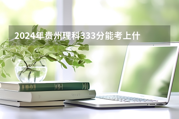 2024年贵州理科333分能考上什么大学?