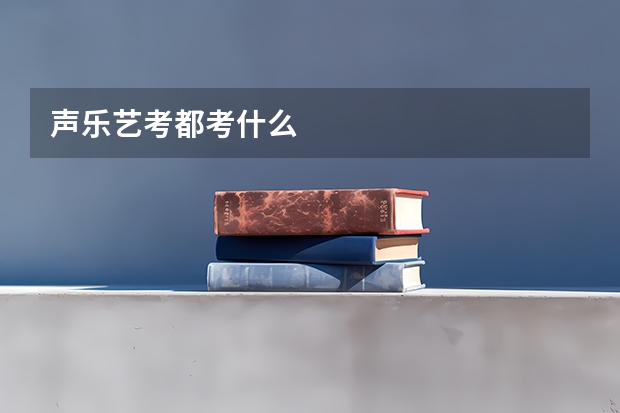 声乐艺考都考什么