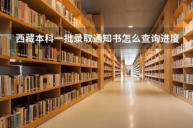 西藏本科一批录取通知书怎么查询进度