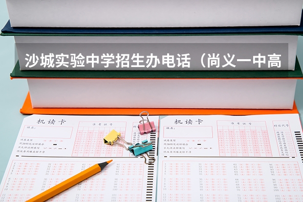 沙城实验中学招生办电话(尚义一中高考成级排名)