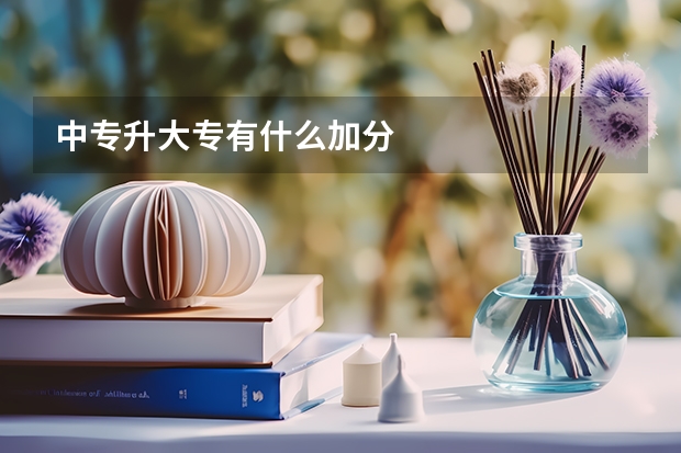 中专升大专有什么加分