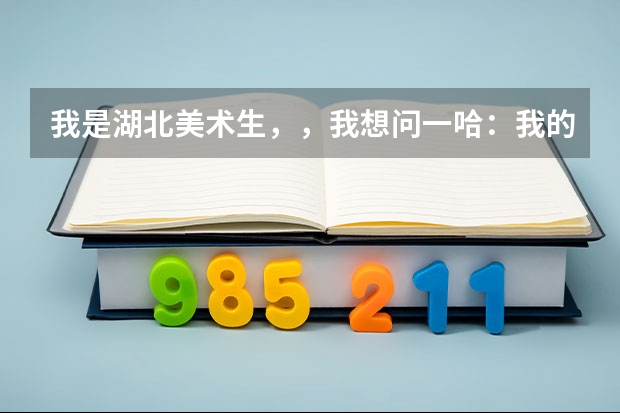 我是湖北美术生,,我想问一哈:我的高考文化科和专业课要多少分才能上央美或清美