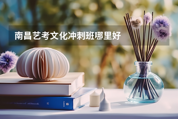 南昌艺考文化冲刺班哪里好