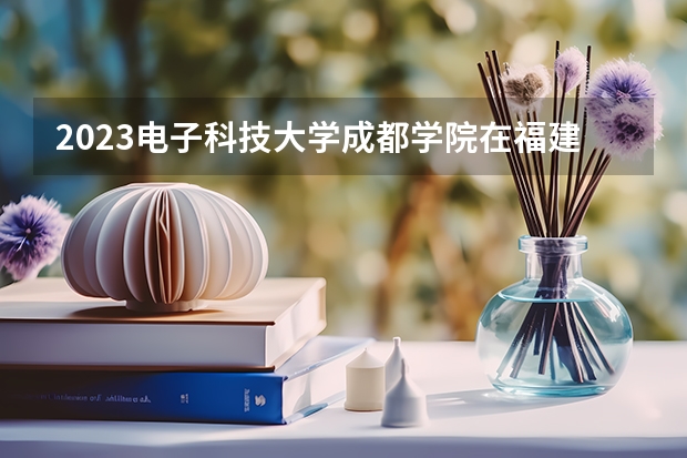 2023电子科技大学成都学院在福建高考专业计划招生多少人