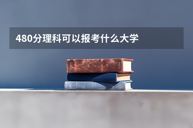 480分理科可以报考什么大学