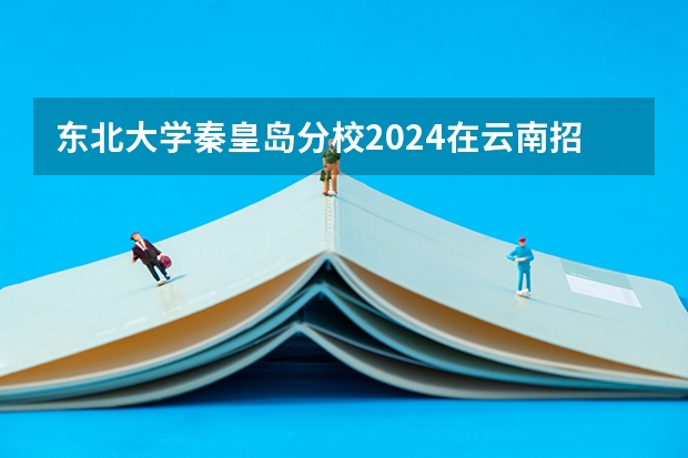 东北大学秦皇岛分校2024在云南招生计划
