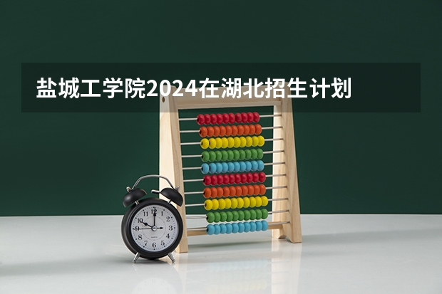 盐城工学院2024在湖北招生计划