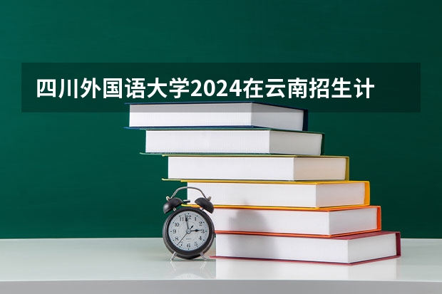 四川外国语大学2024在云南招生计划