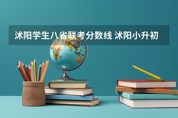 沭阳学生八省联考分数线 沭阳小升初分数线
