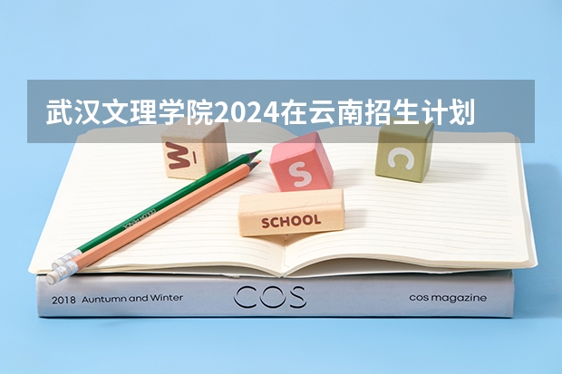 武汉文理学院2024在云南招生计划