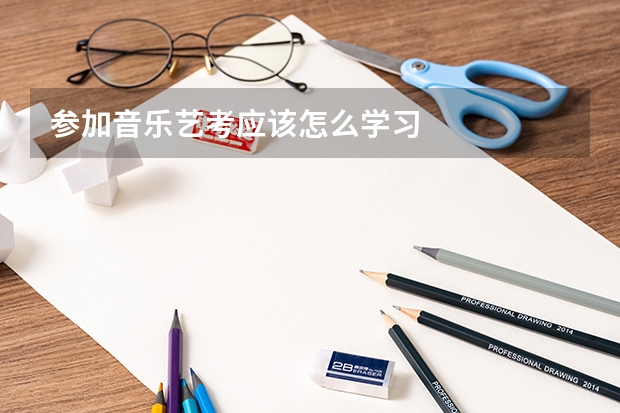 参加音乐艺考应该怎么学习