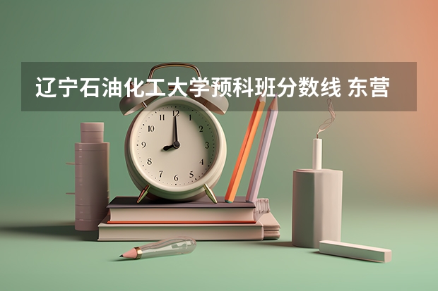 辽宁石油化工大学预科班分数线 东营石油化工学院分数线