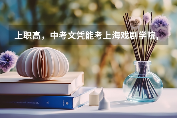 上职高，中考文凭能考上海戏剧学院,北京电影学院,中央音乐学院吗