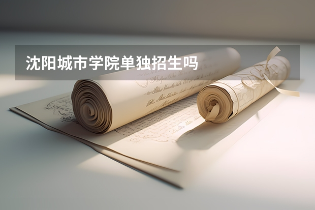 沈阳城市学院单独招生吗