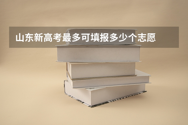 山东新高考最多可填报多少个志愿