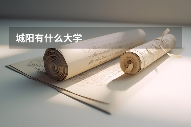 城阳有什么大学