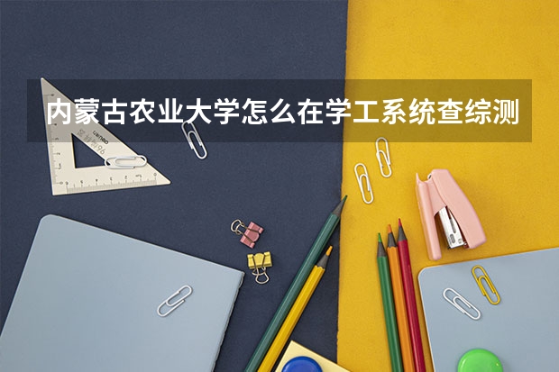 内蒙古农业大学怎么在学工系统查综测成绩