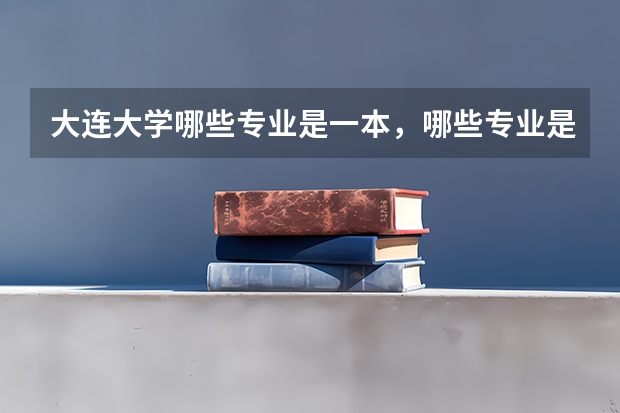 大连大学哪些专业是一本，哪些专业是二本，艺术设计（新媒体）的师资