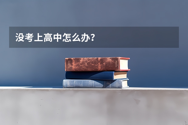 没考上高中怎么办？