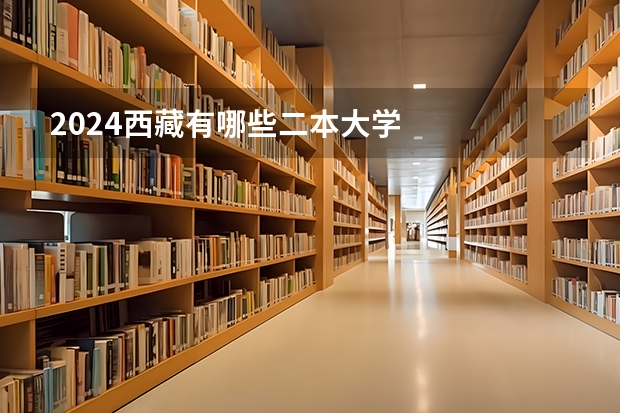 2024西藏有哪些二本大学