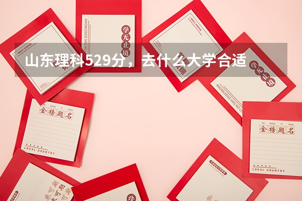 山东理科529分，去什么大学合适