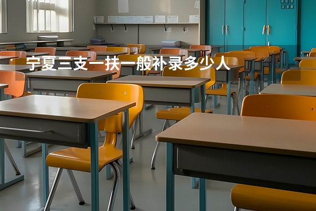 宁夏三支一扶一般补录多少人