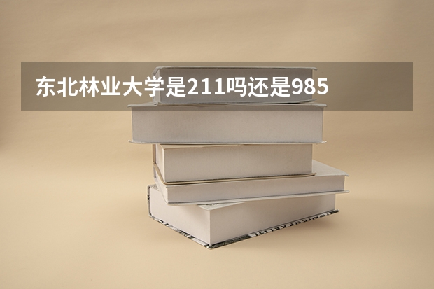 东北林业大学是211吗还是985