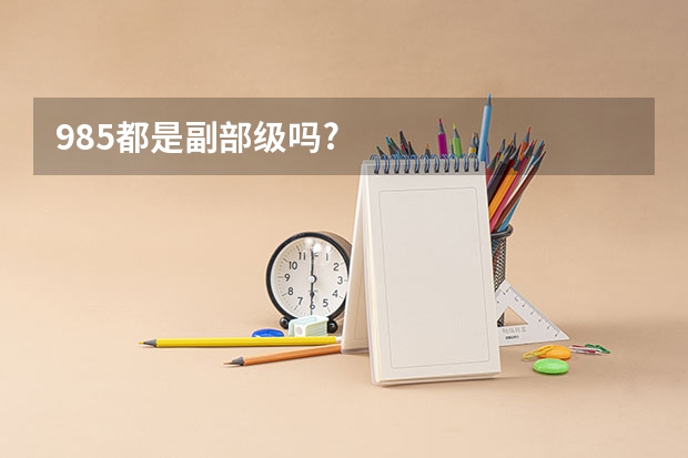 985都是副部级吗?