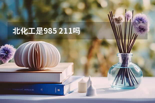 北化工是985 211吗