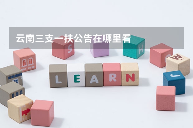 云南三支一扶公告在哪里看