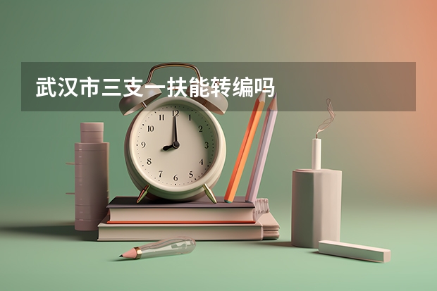 武汉市三支一扶能转编吗