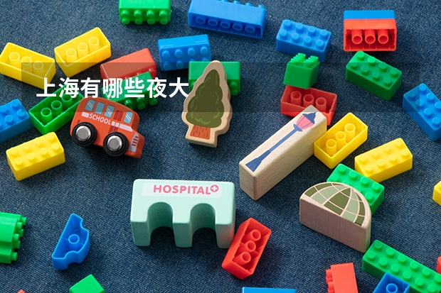上海有哪些夜大