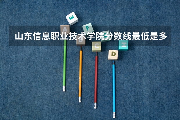 山东信息职业技术学院分数线最低是多少
