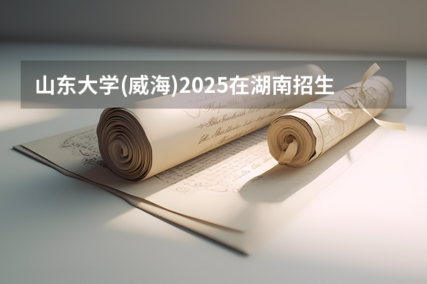 山东大学(威海)2025在湖南招生计划预测