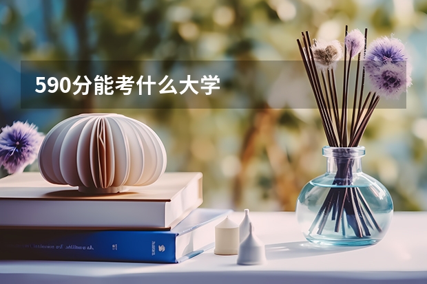 590分能考什么大学