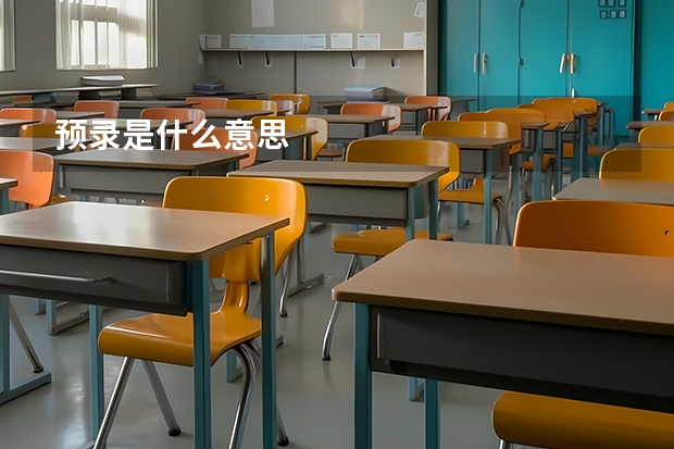 预录是什么意思