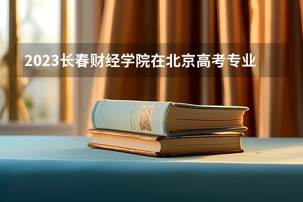 2023长春财经学院在北京高考专业计划招生多少人