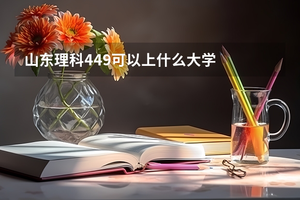 山东理科449可以上什么大学
