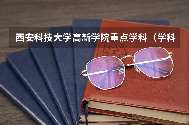 西安科技大学高新学院重点学科（学科评估）