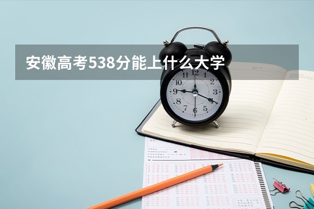 安徽高考538分能上什么大学