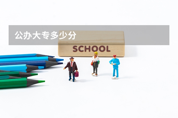 公办大专多少分