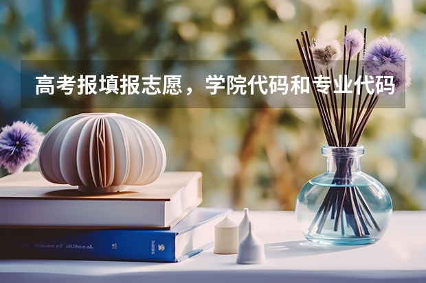 高考报填报志愿，学院代码和专业代码怎么找？在线等.急急急急！