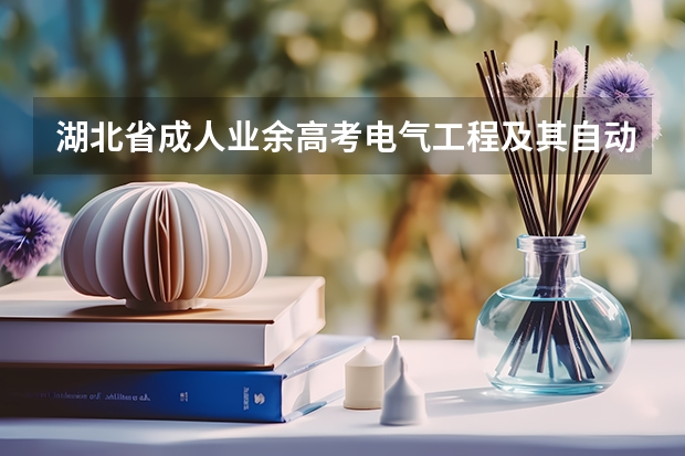 湖北省成人业余高考电气工程及其自动化本科专业在哪里报名?具体报名流程?