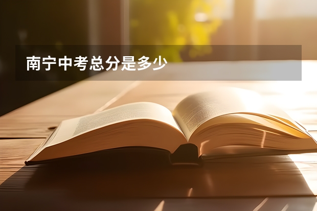 南宁中考总分是多少