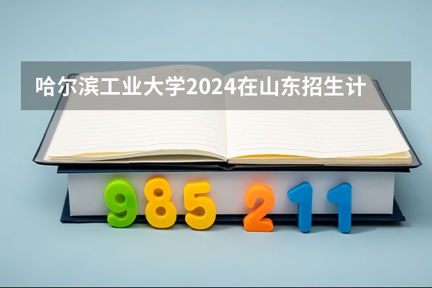 哈尔滨工业大学2024在山东招生计划