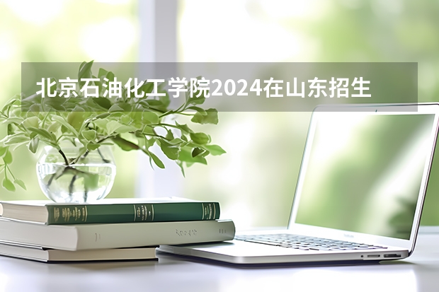 北京石油化工学院2024在山东招生计划